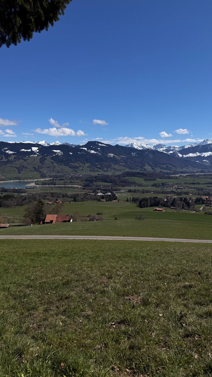 adv 🇨🇭🇯🇵 tweet media