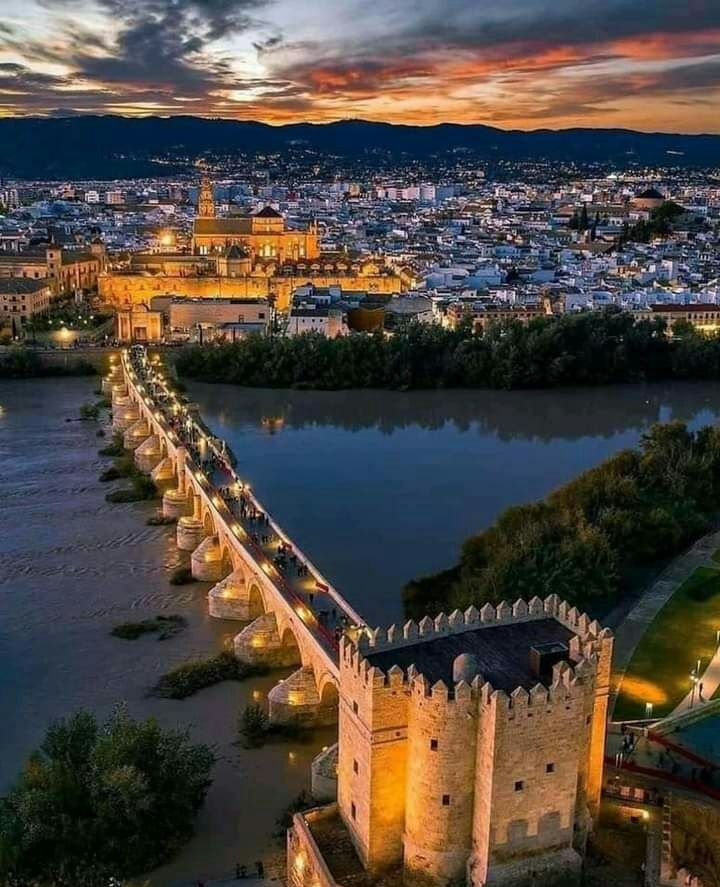 لمحات تاريخية tweet media