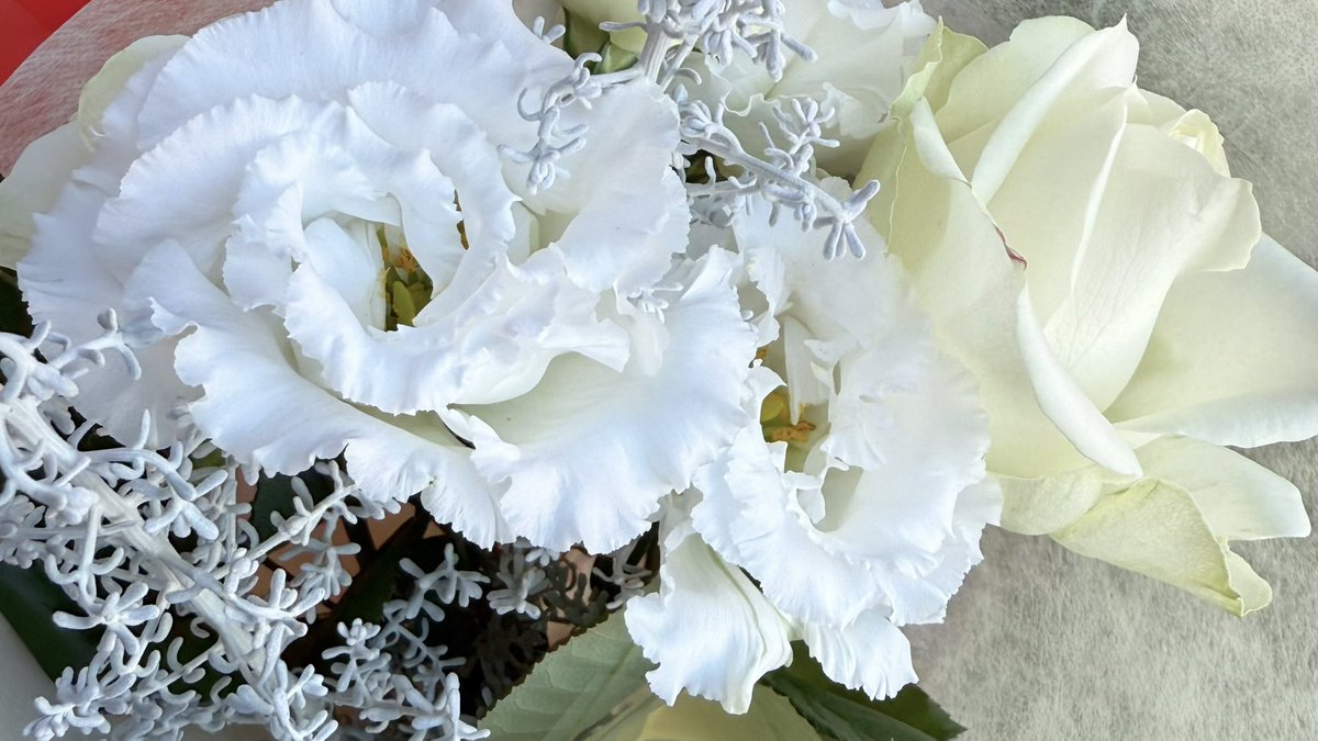 유 ໒꒱. ﾟ tweet media