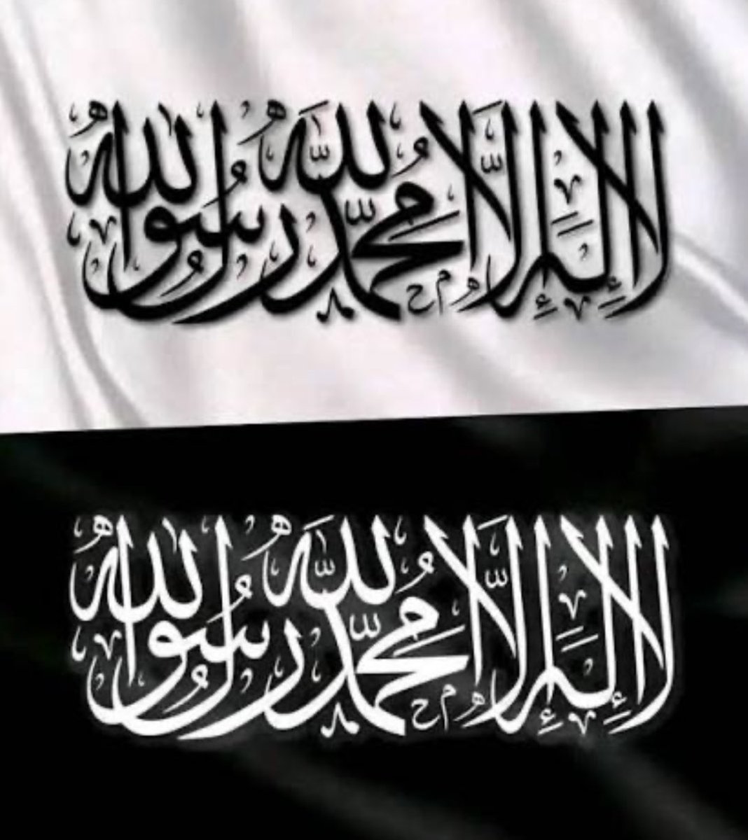 𝐵𝑜 𝑆𝑎𝑒𝑒𝑑 𓅃 tweet media