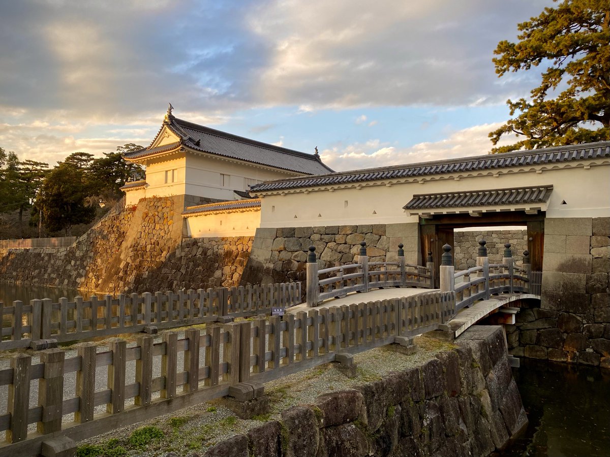 ココフリ tweet media