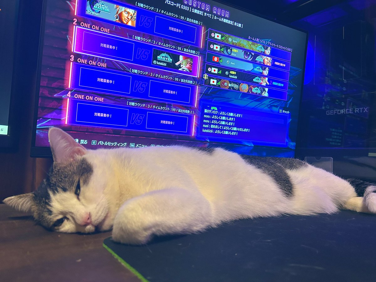 サンロク/スト6と猫暮らし tweet media