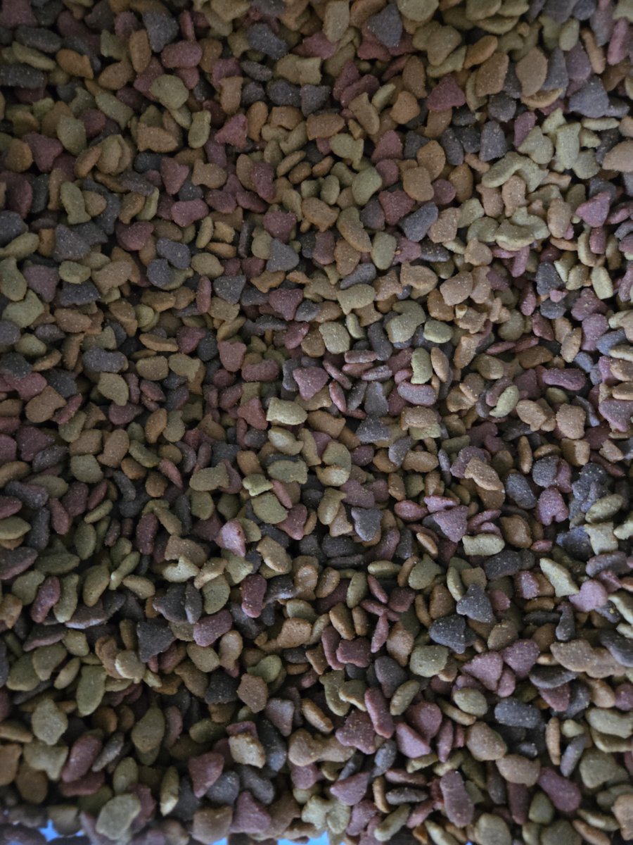 bdmusic1978 tweet media