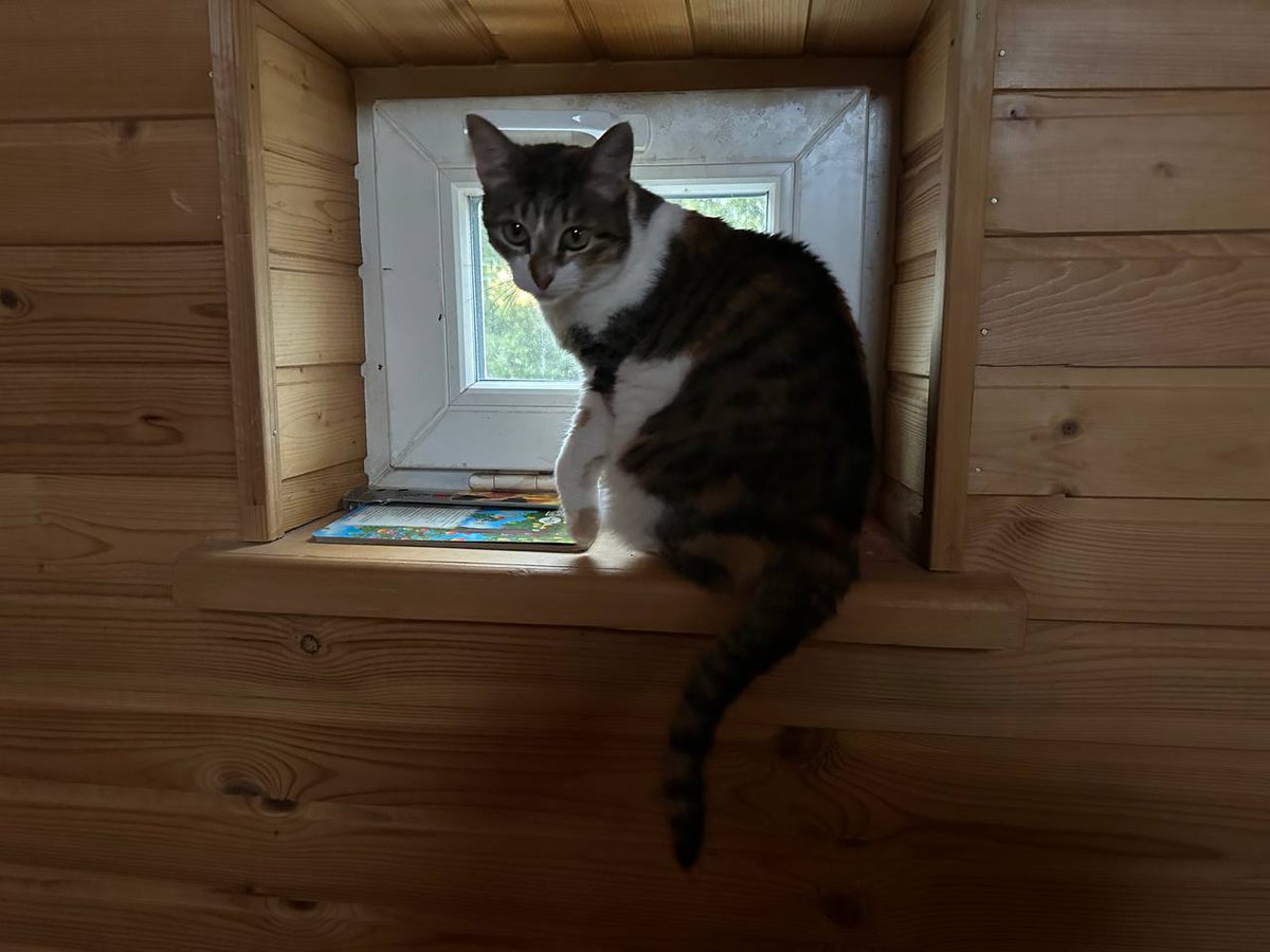 dnbmokus.eth tweet media