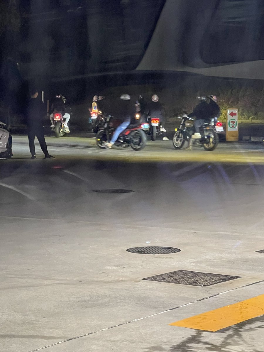 モモの助🐻🍯 tweet media