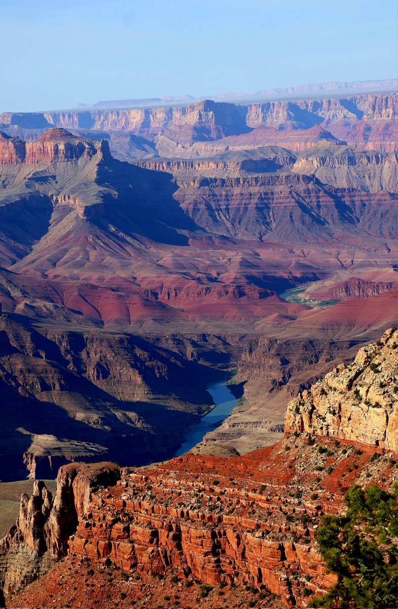 🇺🇲SHaRoNeY🇺🇲 tweet media