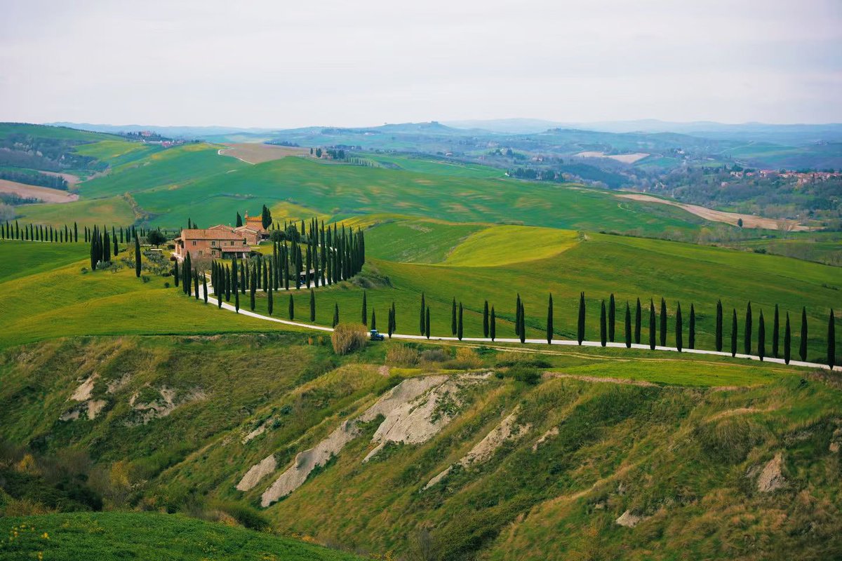 Jocaccia tweet media