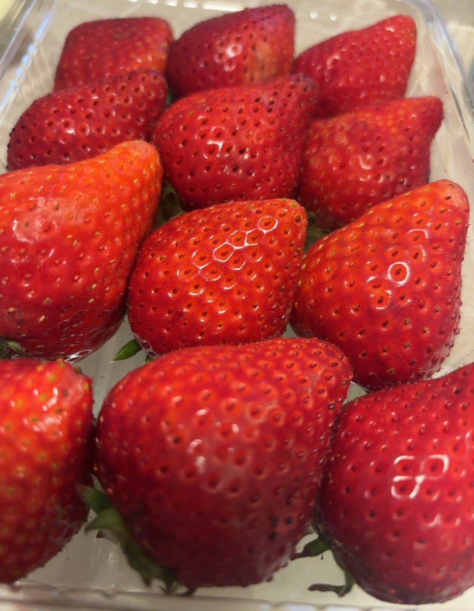 大野 まりか tweet media