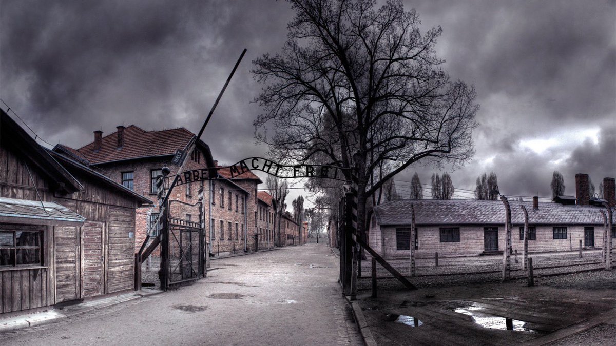 BeyondSundayCo's tweet photo. 🔥 What if freedom feels too risky to believe?

Imagine standing after Buchenwald was liberated. The gates are open. Freedom has come.

And yet… the barracks are still full.

Men—starving, broken—don’t move.
They’ve seen uniforms before. Freedom feels dangerous. https://t.co/QUja0aKZ5K