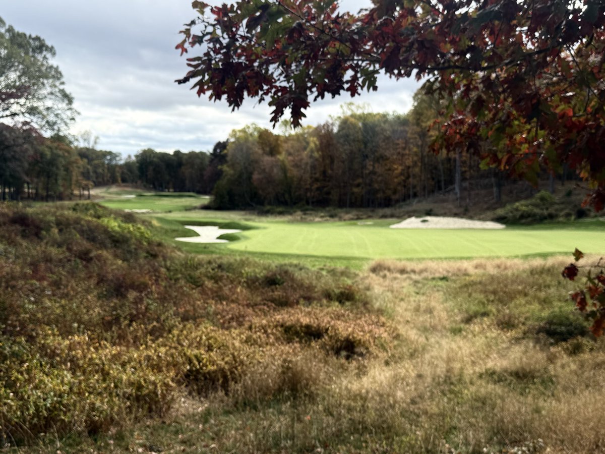 Yale Golf Course tweet media