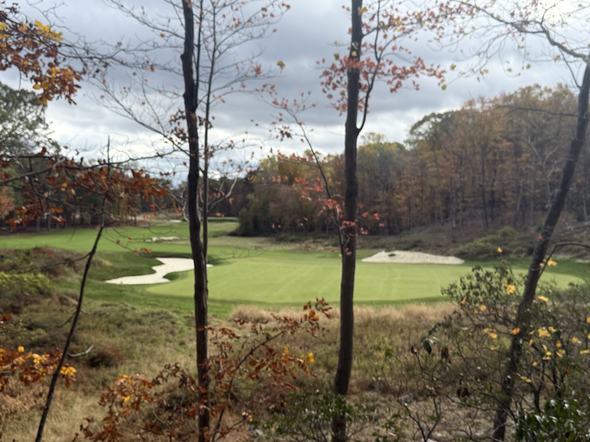 Yale Golf Course tweet media