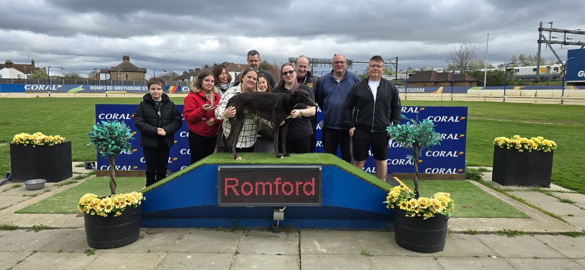 denise ryan tweet media