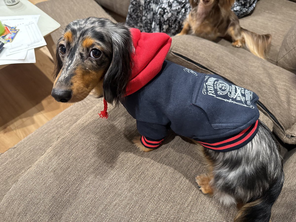 くりすけ tweet media