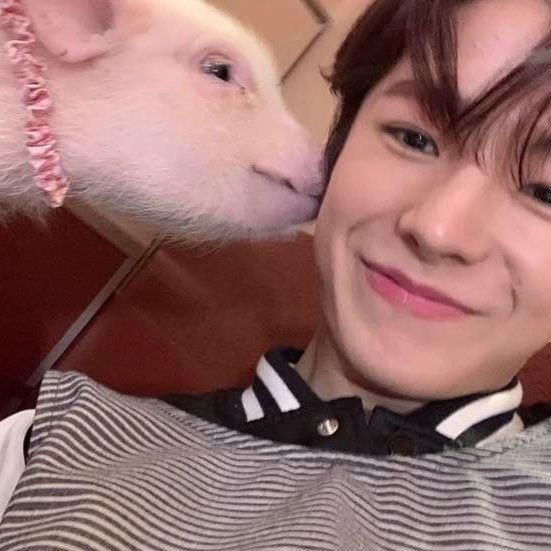 MYANTON THAILAND tweet media