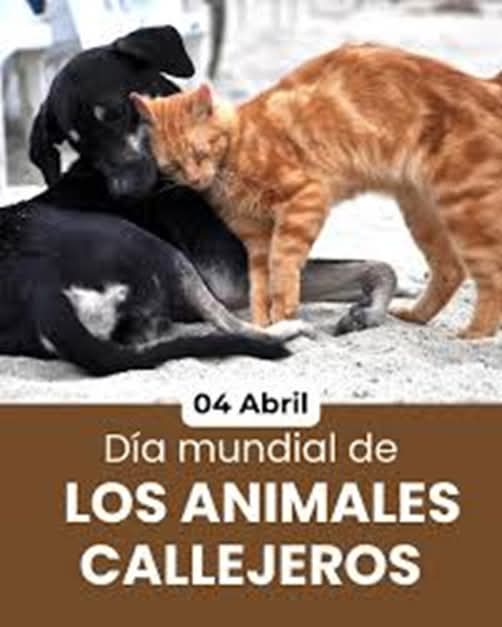 Guadalupe Ramirez tweet media