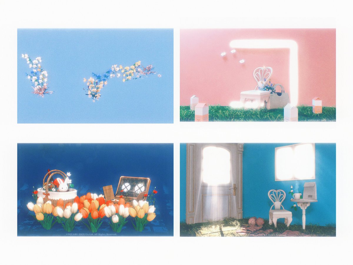 みけのおへや🌸 tweet media