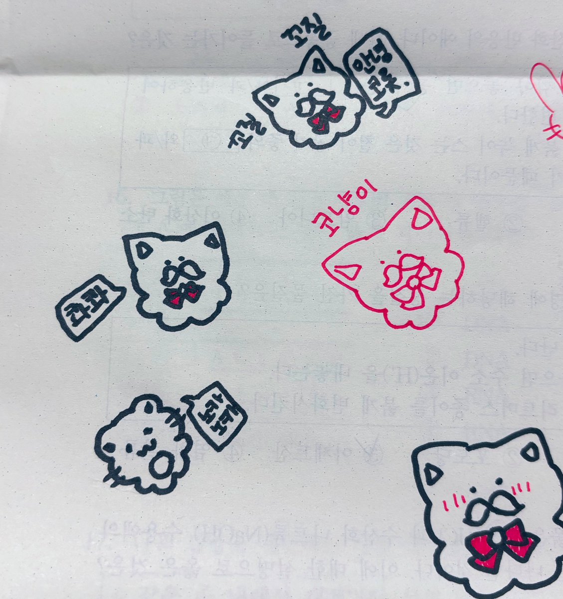 코롯 Colot tweet media