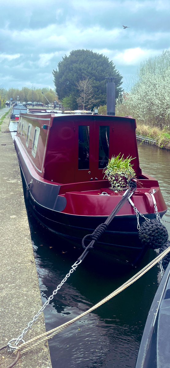 Lucia 🦊 tweet media