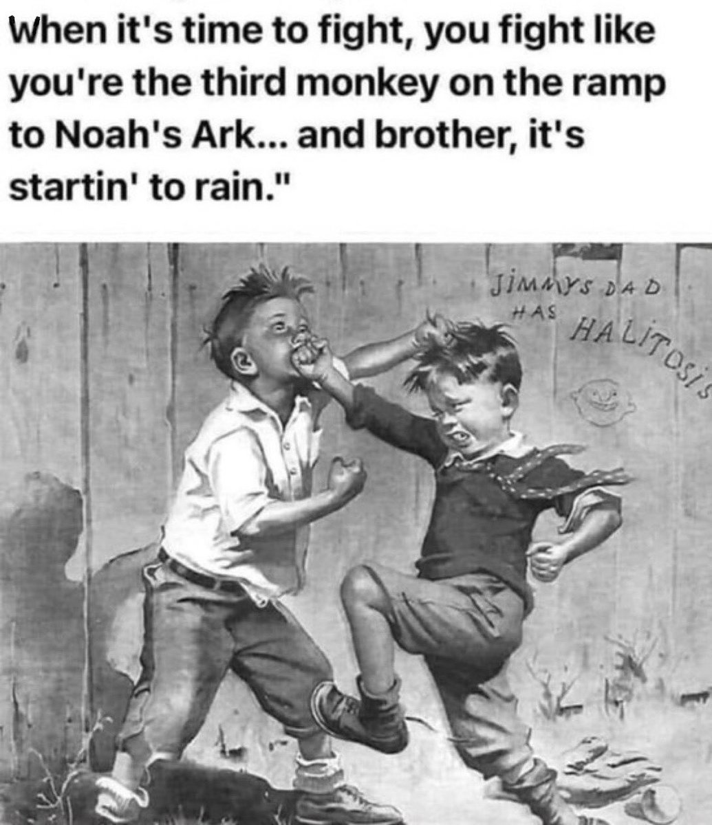 VigilantVet 🇺🇸 tweet media