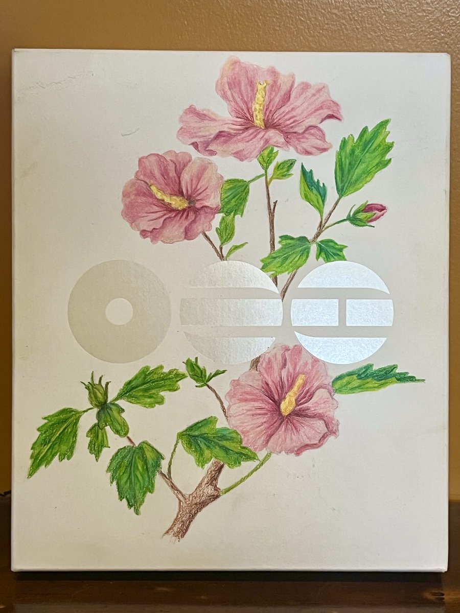 Mghnnn⁷ ✶ 아포방포 💜 tweet media