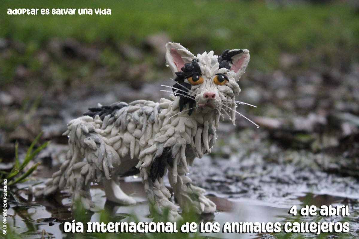 ¿Se lo explico con plastilina? tweet media