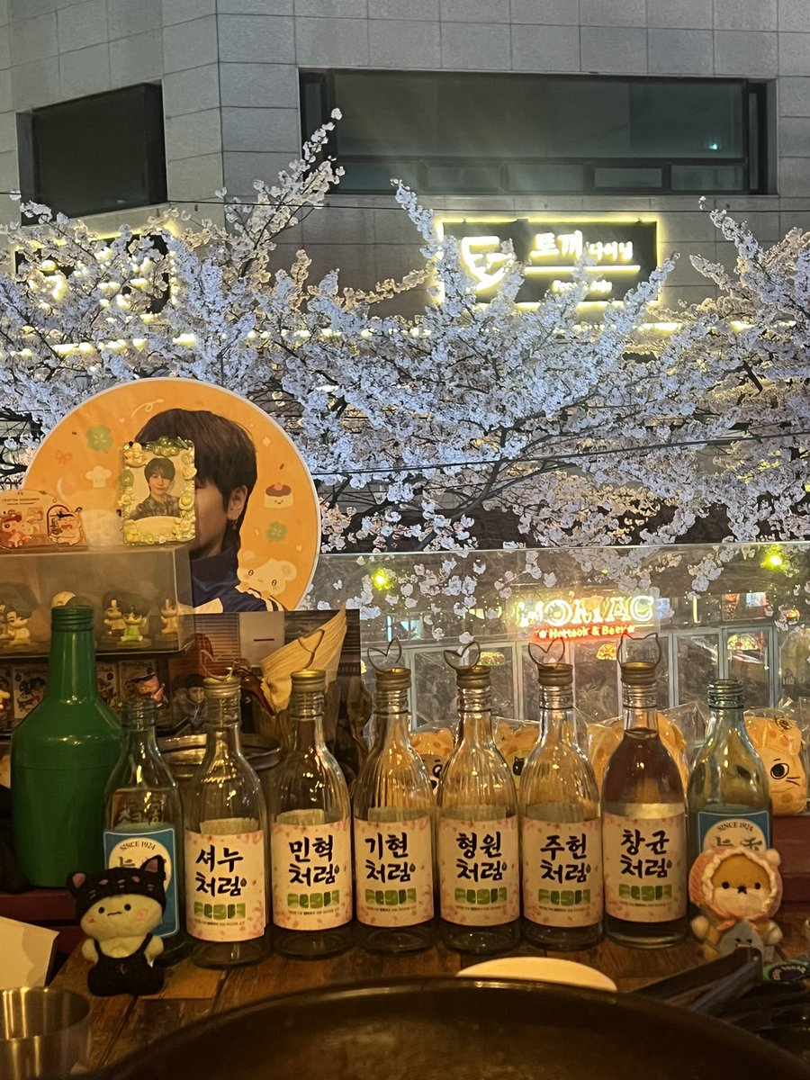 채또또 tweet media