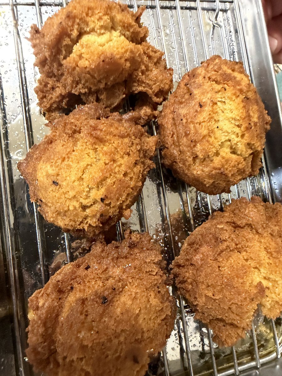 白倉こと@のんびり配信❣️【女性VTuber】🦊💬ダイエット中 tweet media