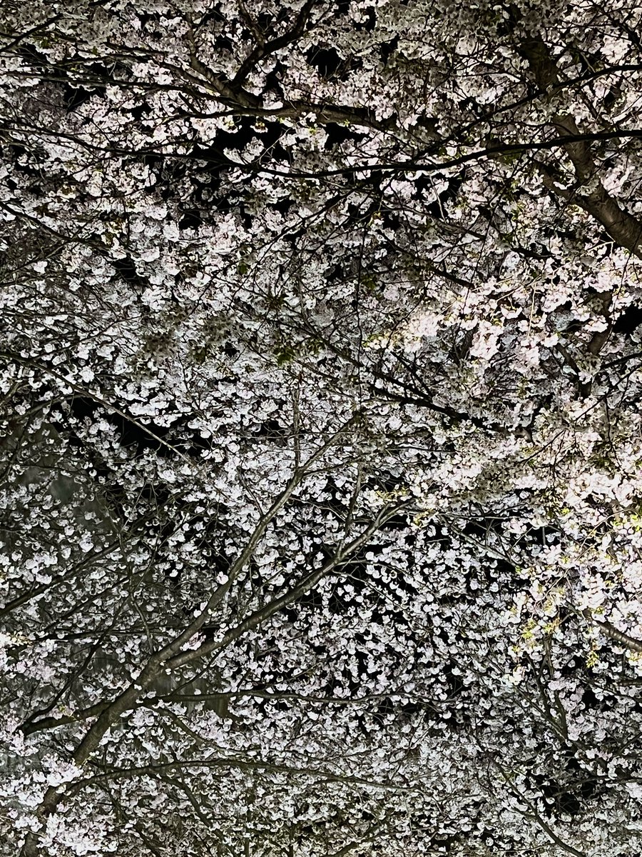 공공일 tweet media