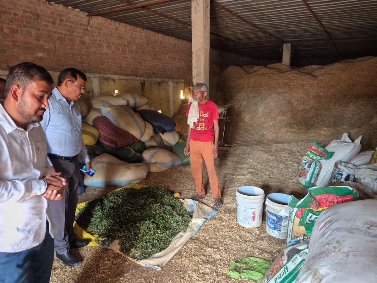 DM Jalaun tweet media