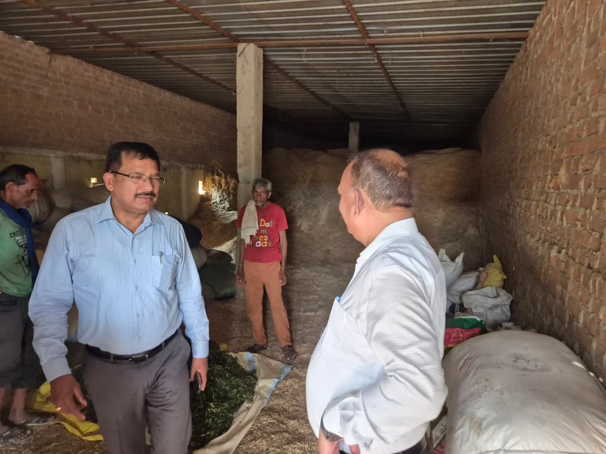 DM Jalaun tweet media