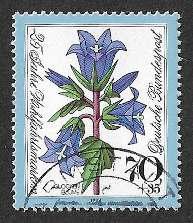 Scott Thomson tweet media