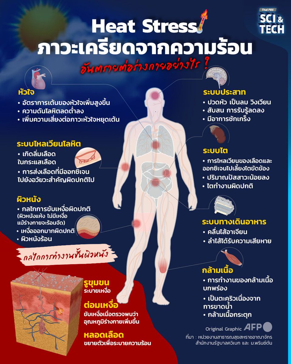 Thai PBS tweet media