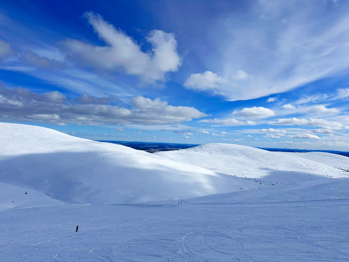 Sanna Jääskeläinen tweet media
