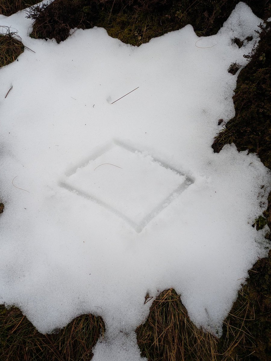 Straiph Wilson tweet media