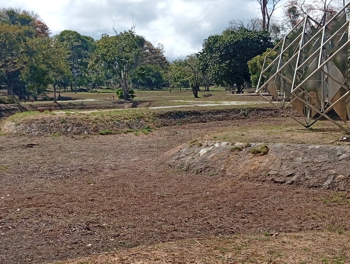 Reporte Ya tweet media