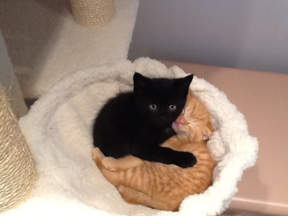 ๐๐๐๐ ใ tweet media