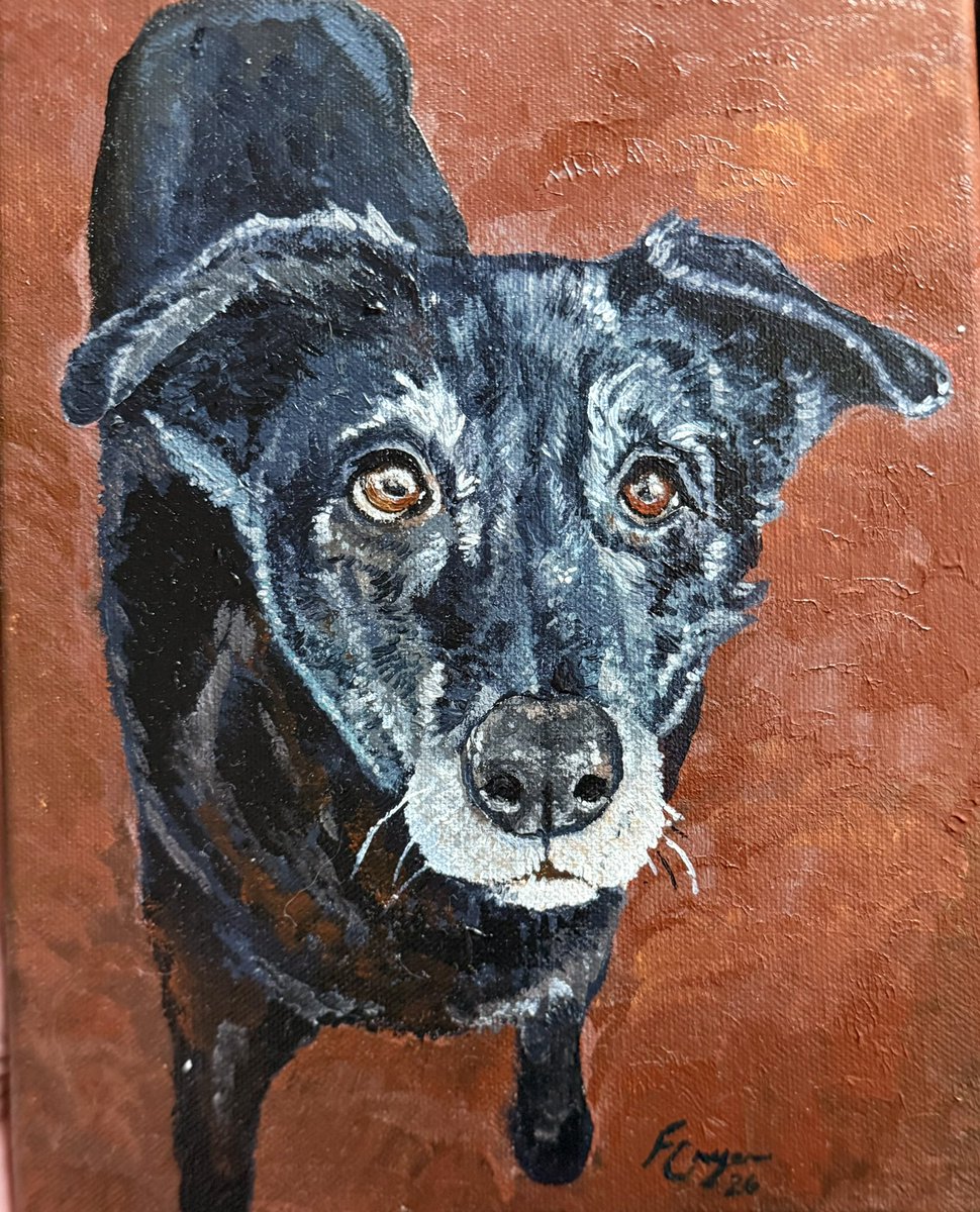wylmfre's tweet photo. pet portrait of pippa for my partner https://t.co/CNQD82EFSa