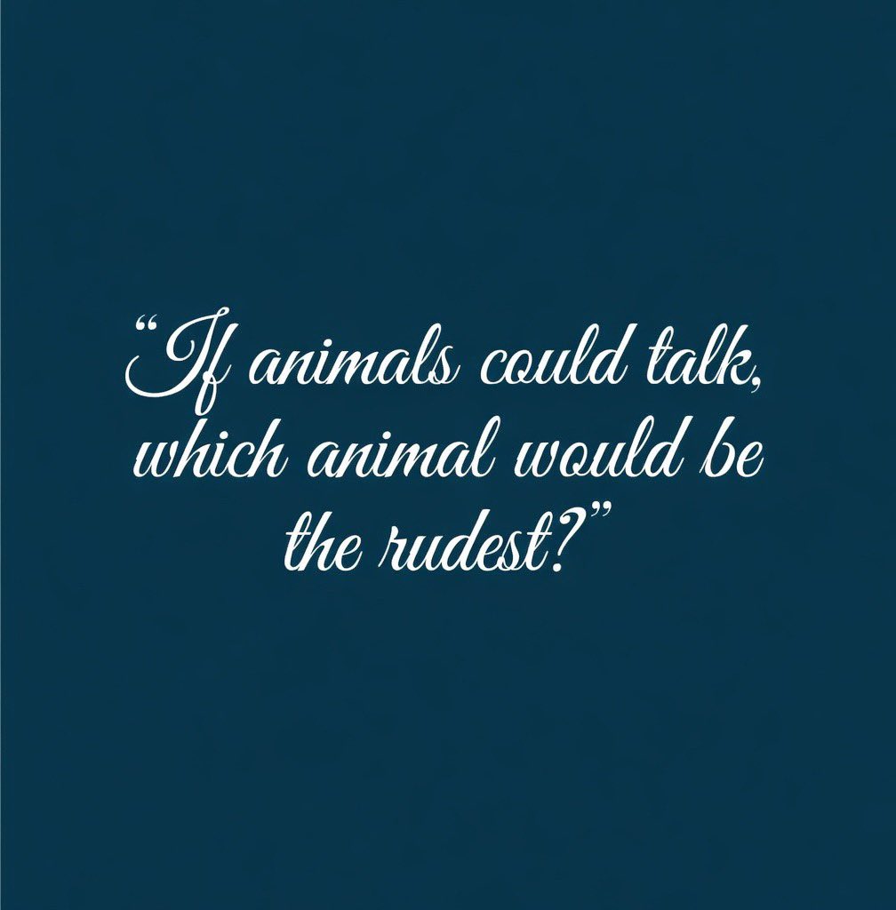 𝕋𝕙𝕖 ❷４𝐓𝓱𝕃𝔼𝕋𝕋𝔼ℝ ™ tweet media