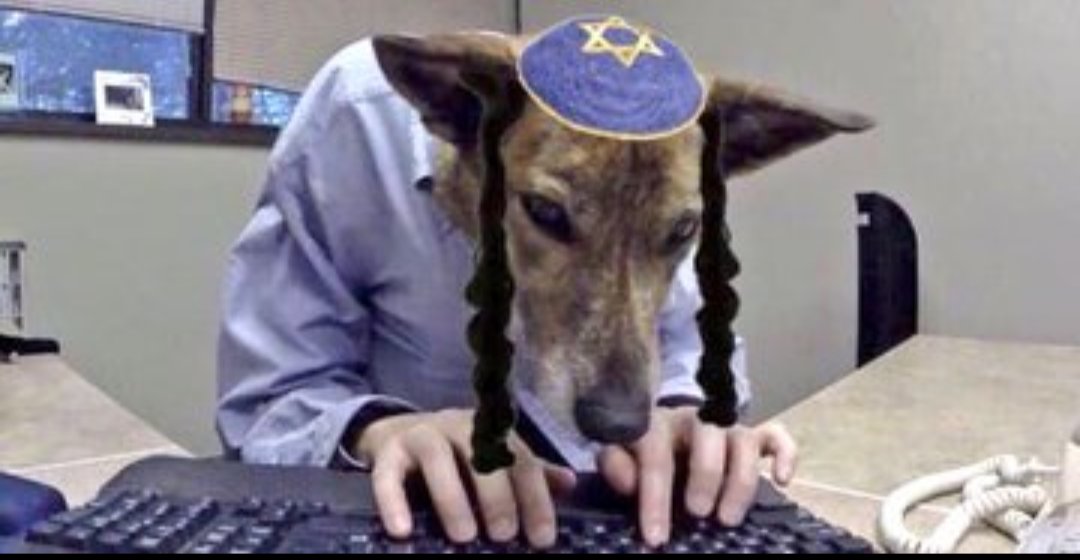 Jose ☭ tweet media