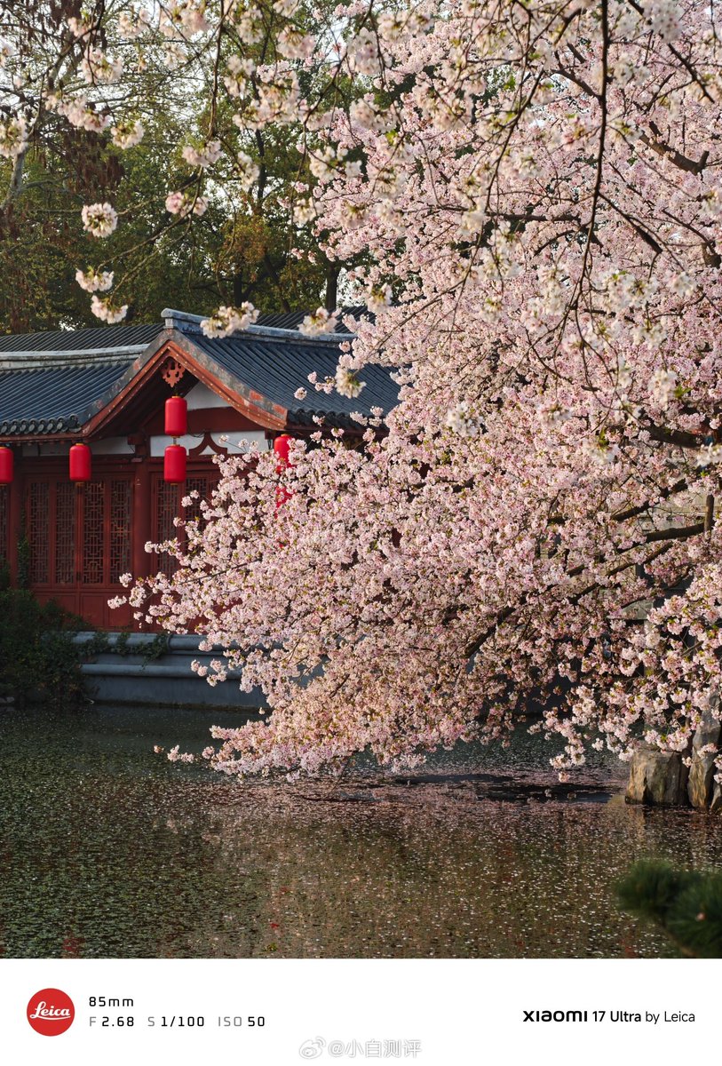 Ayan Ghosh 🦅 tweet media