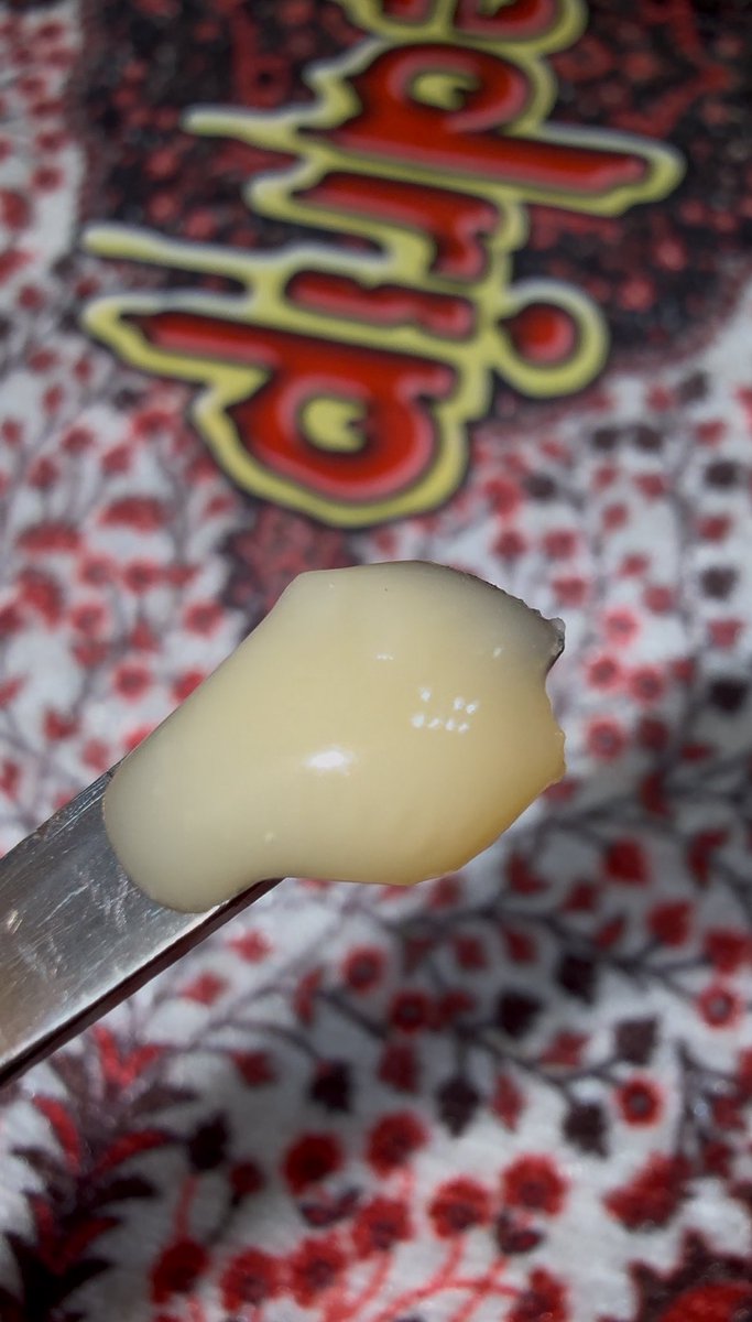 Puffers Chronic tweet media