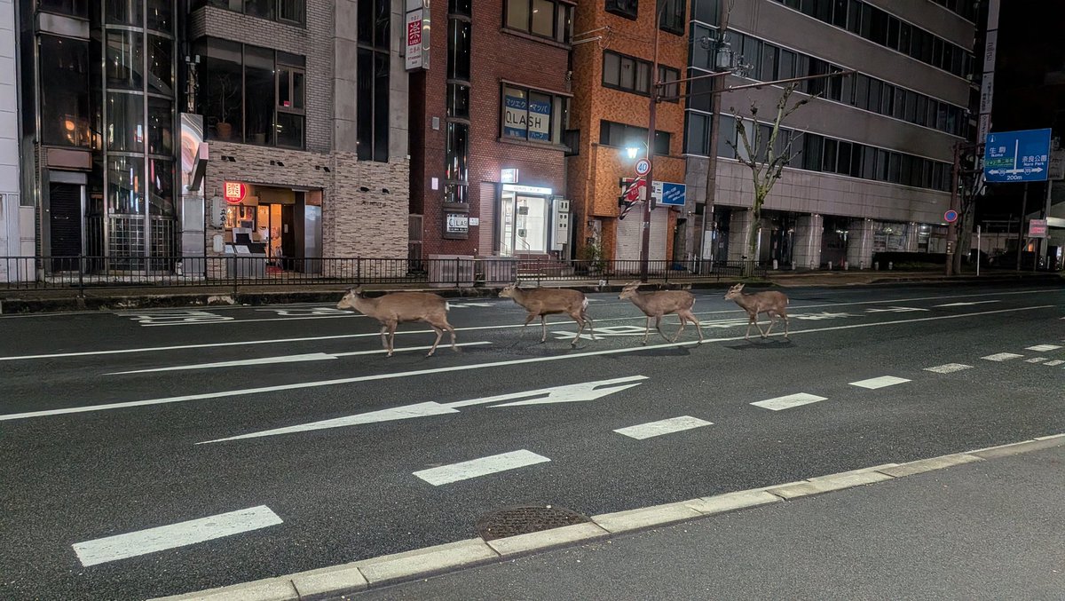 タコ娘🐙 tweet media