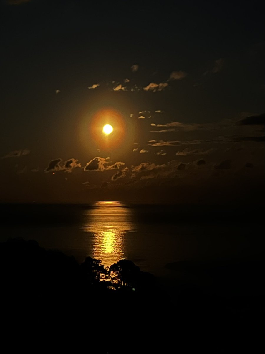 あくび tweet media