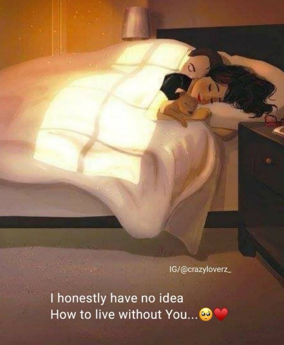 messages. tweet media