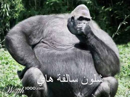 POWR ABo3aBD tweet media