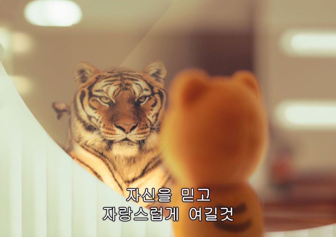 설한이 tweet media