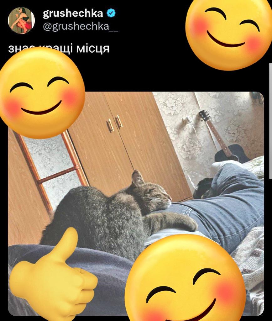 Ecu🏳️🌈 tweet media