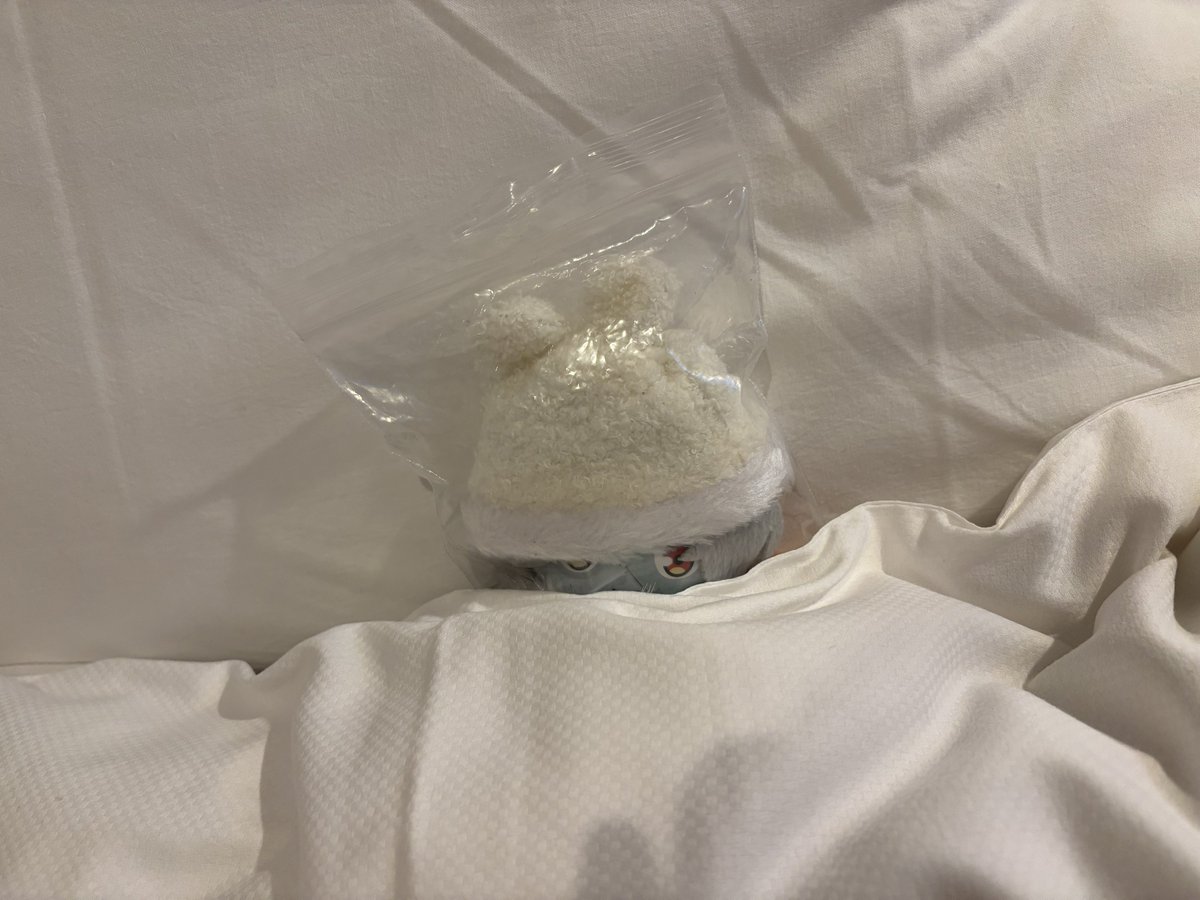  ︎︎ ︎︎はる tweet media