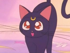 元白狼天狗の新・優木せつ菜 tweet media