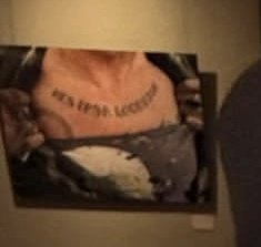 さのばびっちＱ猫 tweet media